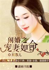 闹婚之宠妻如命全文免费阅读全文