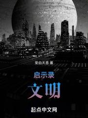 文明启示录y次元