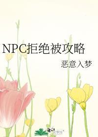 npc拒绝被攻略笔趣阁全本