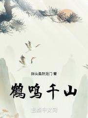 鹤鸣千山皓羽怎么获得