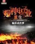 重生爆利电子业无错版