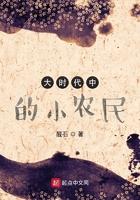 大时代中的小农民免费阅读