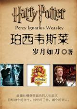 hp同人珀西