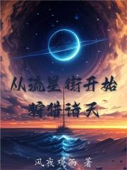 穿越到流星街的