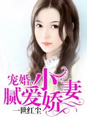 宠婚小妻有点甜