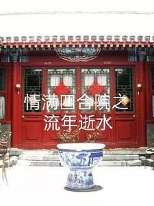 情满四合院 原著