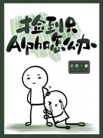 捡到了一只alpha百度