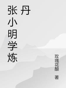 主人公叫张小明的