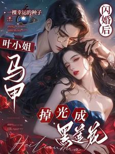 闪婚后马甲掉光了