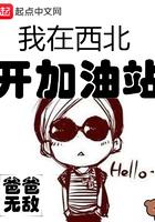 我在西北开加油站人物介绍