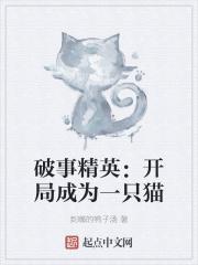 破事精英开局成为一只猫免费阅读