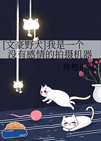 文豪野犬无cp文