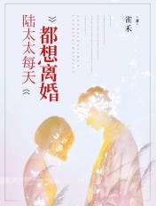 陆太太每天都想离婚短剧在线观看