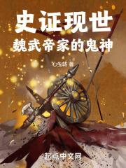 魏武帝什么意思