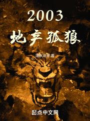 2003，地产孤狼