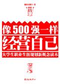 像500强一样经营自己